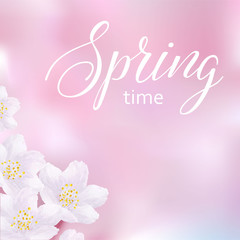 vector illustration with sakura flowers