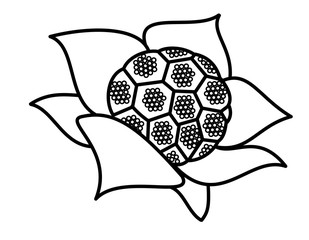 Obraz premium フキノトウ(線画)