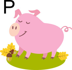 Vector illustration of a pig with a letter of the alphabet. 