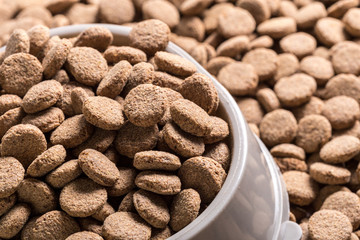 Dried dog food background