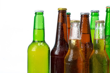 Set of beer bottles isolated