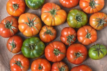  Sicilian ripe tomatoes different colors, varieties of ox heart, in  on the textured oak background