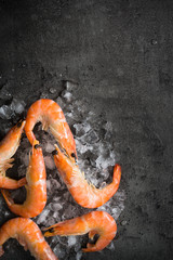 Fresh Prawns Shrimps on ice. Top view black slate table