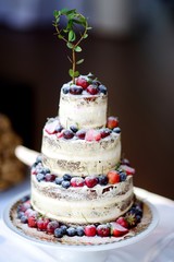 Delicious chocolate wedding cake decorated with fruits and berries