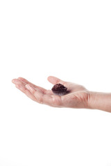 Hand holding a traditional candy from Brazil called brigadeiro over white background