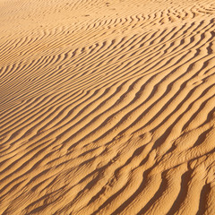 in oman the old desert and the empty quarter abstract  texture line wave