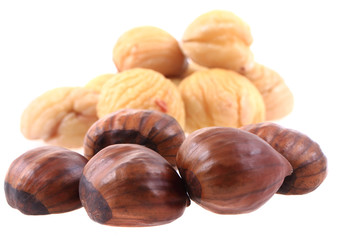 fresh edible chestnuts