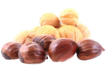 fresh edible chestnuts