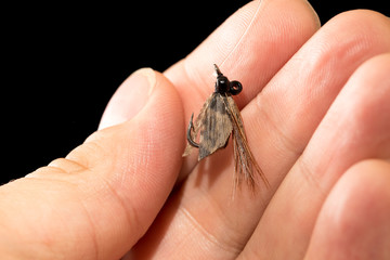 fly to catch fish in a hand on a black background