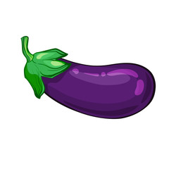 one ripe eggplant isolated on white background. vector illustration