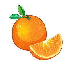 orange fruit isolated on white background. vector illustration