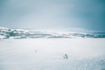 A beautiful winter landscape with mountains in the distance