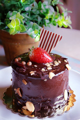 Chocolate cake with strawberries on top, sprinkled with nuts on a white plate. candles and green plants in the background.