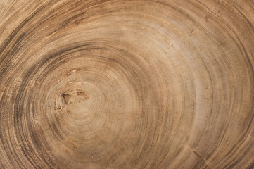 Fototapeta premium old vintage wood texture background