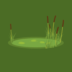 Fototapeta premium vector illustration of the marsh, reeds and water lilies on a green background