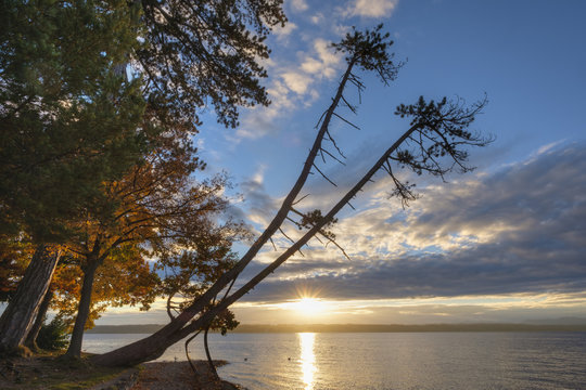 Germany, Bavaria, Lake Starnberg, sunrise
