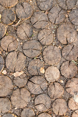 with wooden frame road