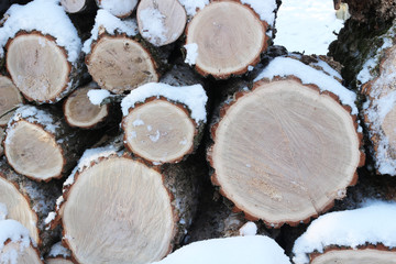Wall of stacked logs and branches. Firewood in the snow