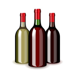 Three wine bottles isolated on white vector