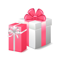 Two gifts isolated on white vector