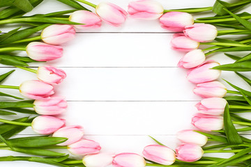 Pink tulips on white wooden background. Top view, copy space