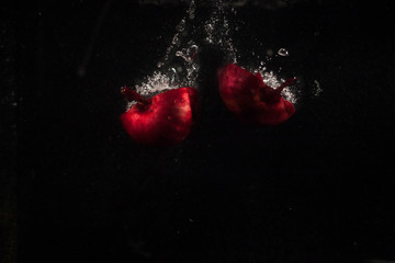 Two halves of blue onion fall in aquarium with black wall behind it