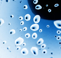 drops of water on a blue background