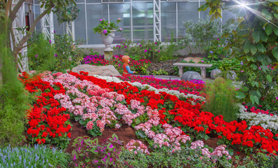 Obraz premium beautiful flowers