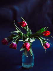 Bunch of red tulips put in glass vase