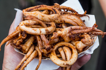 Bakset of Fresh Calamari