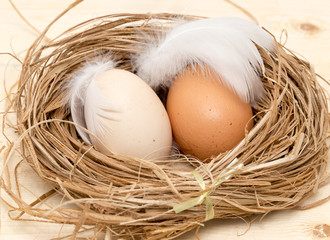 chicken eggs in a nest with feather