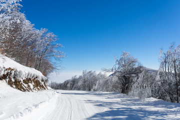 Amazing landscape in Vigla, Florina's ski center, Greece 