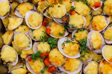 Closeup shot of Baked Scallops with Cheese. 