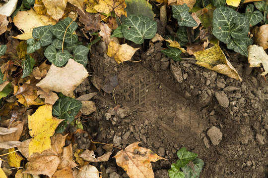 Footprint among the fall leaves