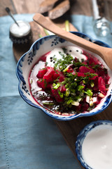 Traditional Russian and Ukrainian beetroot soup borscht with sour cream  greens vertical