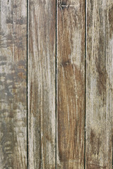 Wood Texture Background