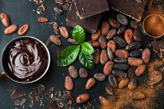 Cocoa beans, chocolate and cocoa powder