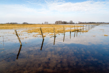 Łąki nad Narwią © podlaski49