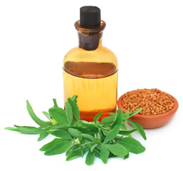 Fenugreek leaves with seeds and oil