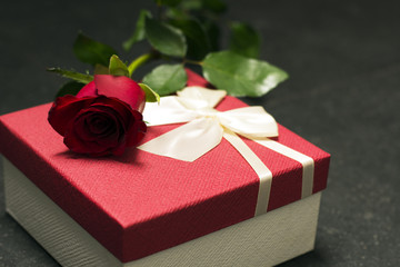 Red rose with gift box on dark background