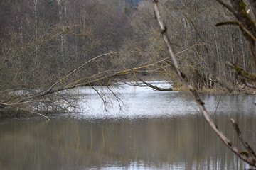 Seelandschaft im Winterschlaf