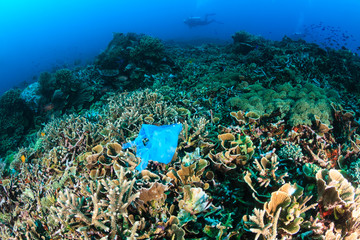 Naklejka na ściany i meble Manmade Pollution - a discarded plastic bags lies entangled on a tropical coral reef while SCUBA divers swim past in the background