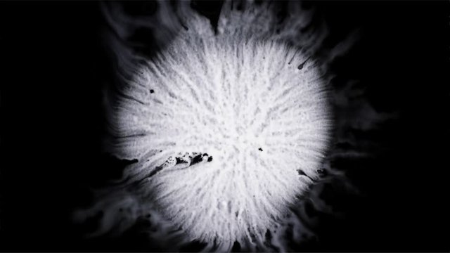 Beautiful white watercolor ink drops on black background, paint bleed Bloom, with circle organic flow expanding, splatter spreading on pure  backdrop. Perfect for motion graphics, digital composition