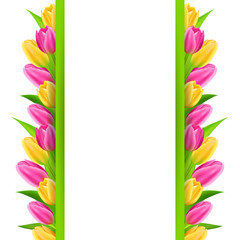 Paper banner with colorful tulips. 8 march greeting card template. Vector illustration.