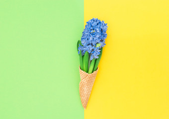 Hyacinth flowers ice cream waffle cone flat lay Spring