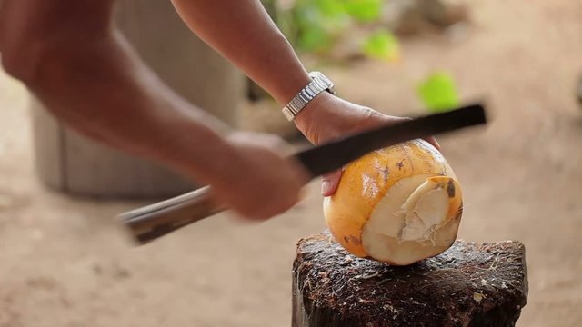 Man with machete hacking coconut outdoors