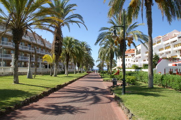 Palmenallee