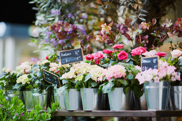 Fototapeta na wymiar Outdoor flower market in Paris