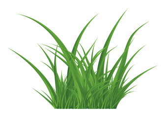 Green grass isolated vector symbol icon design.