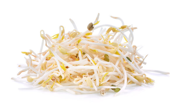 Bean Sprouts